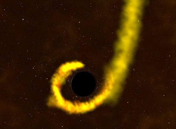 Астрономы впервые наблюдают разрыв звезды черной дырой почти с самого начала этого события